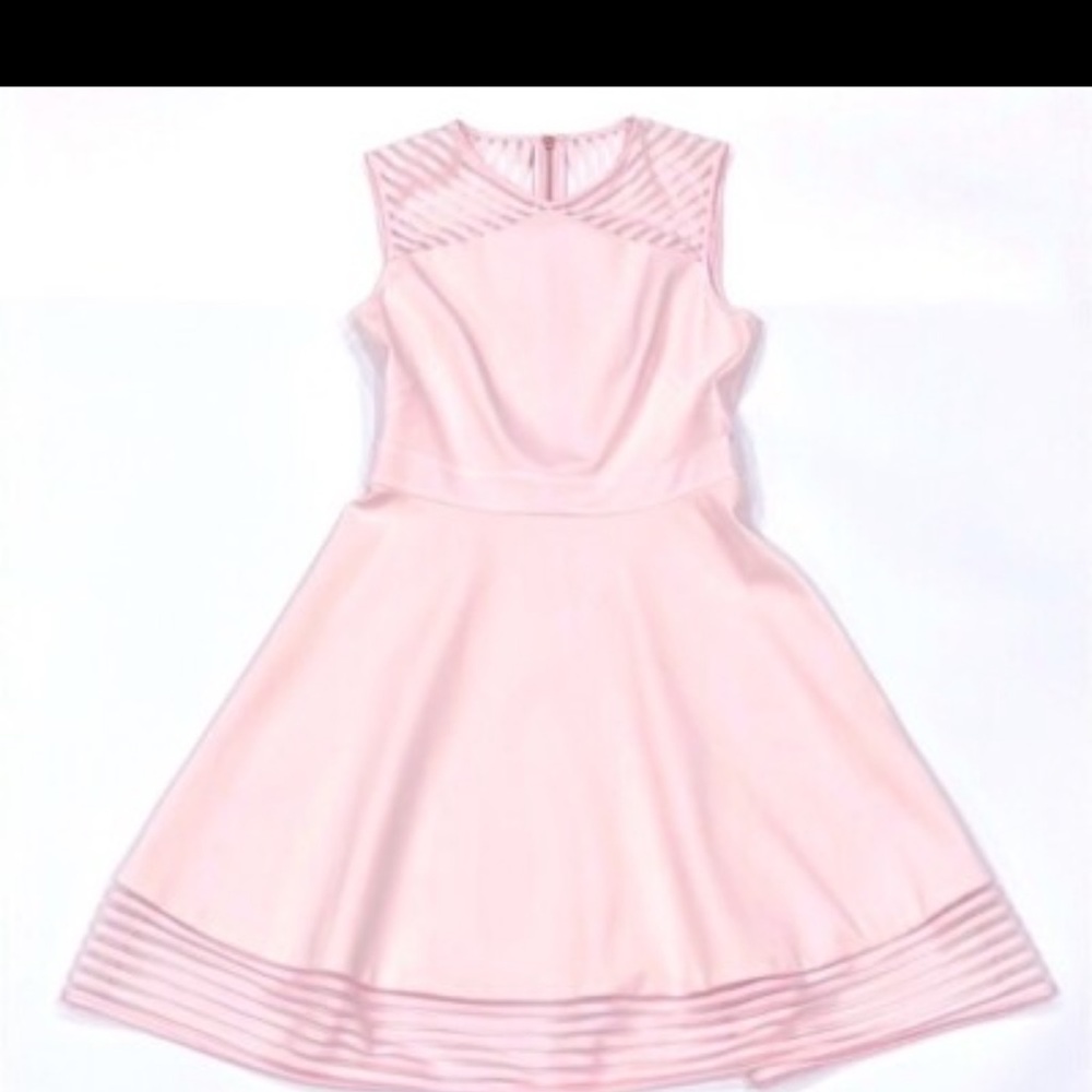 Ted Baker London Eleese Mesh Detail Skater Dress Light Pink – Size 1 (US 4) - Picture 6 of 9